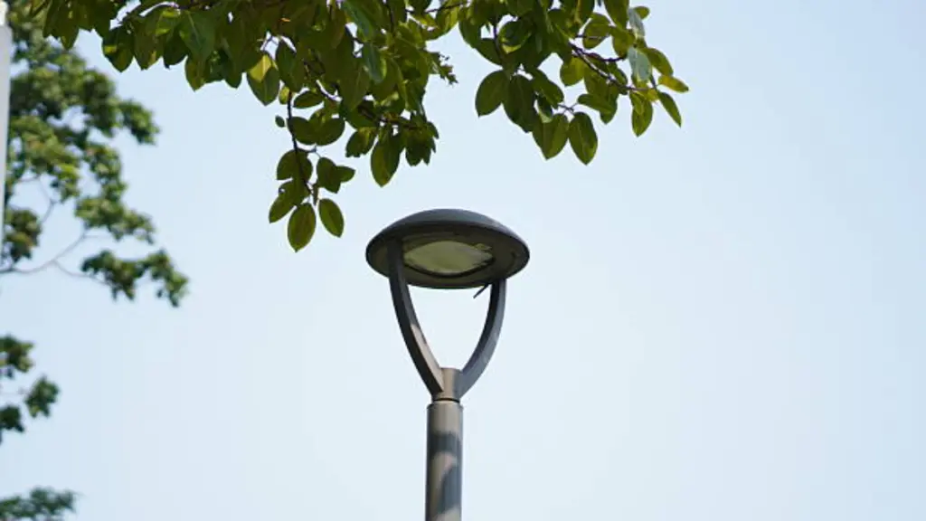 light housing die casting within green leaves